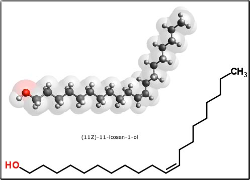 (11Z)-11-icosen-1-ol