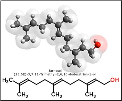 farnesol