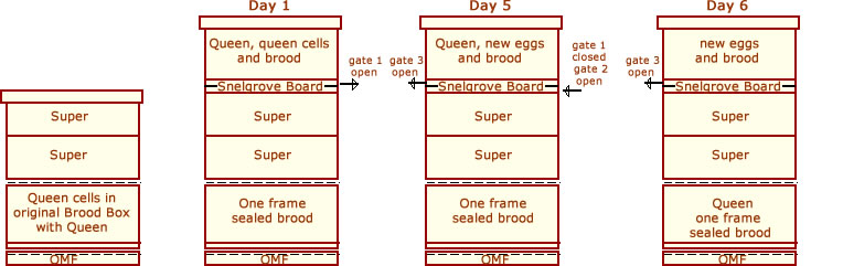 Snelgrove's Method II