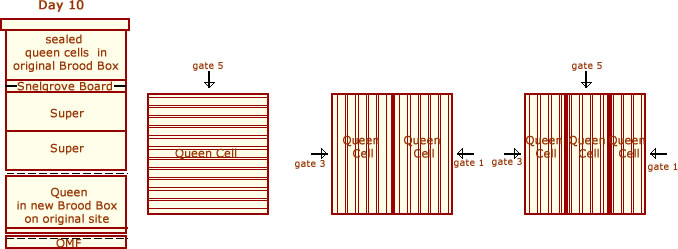 Snelgrove's Method I