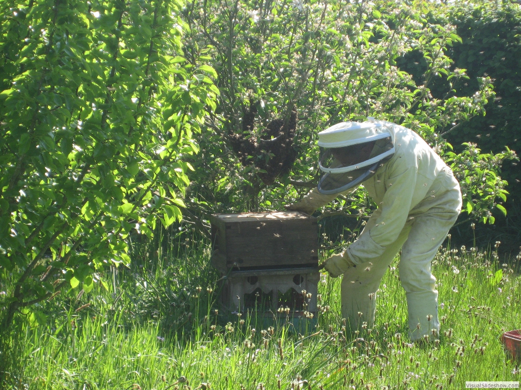 Putting the new brood box in place