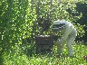 Putting the new brood box in place