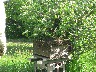 Bees all over the box